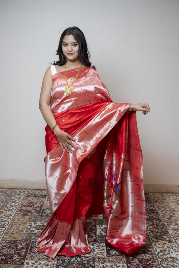 Sharee 13 - Image 2